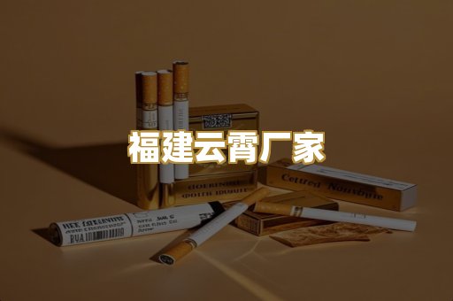 福建云霄厂家